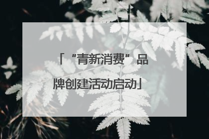 “青新消费”品牌创建活动启动