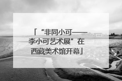 “非同小可——李小可艺术展”在西藏美术馆开幕