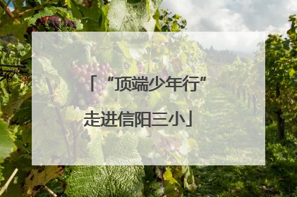 “顶端少年行”走进信阳三小