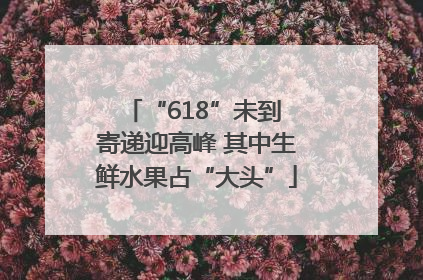 “618”未到 寄递迎高峰 其中生鲜水果占“大头”