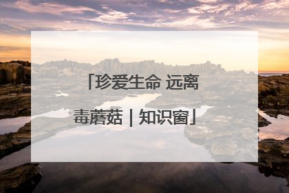 珍爱生命 远离毒蘑菇｜知识窗