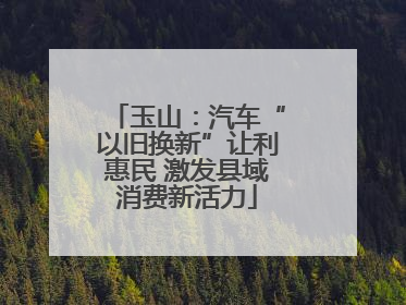 玉山：汽车“以旧换新”让利惠民 激发县域消费新活力