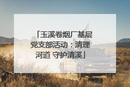 玉溪卷烟厂基层党支部活动：清理河道 守护清溪