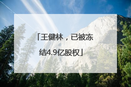 王健林，已被冻结4.9亿股权