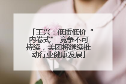 王兴：低质低价“内卷式” 竞争不可持续，美团将继续推动行业健康发展
