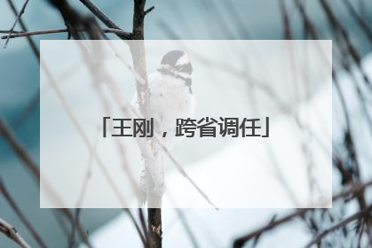王刚，跨省调任