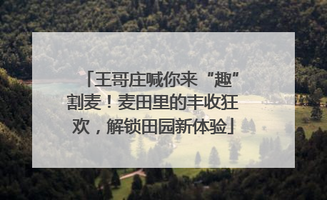 王哥庄喊你来“趣”割麦！麦田里的丰收狂欢，解锁田园新体验