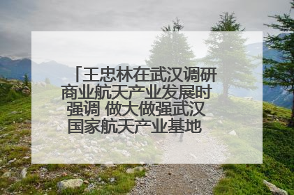 王忠林在武汉调研商业航天产业发展时强调 做大做强武汉国家航天产业基地 打造具有全国影响力的“中国星谷”