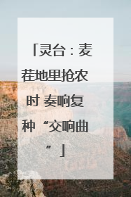 灵台：麦茬地里抢农时 奏响复种“交响曲”
