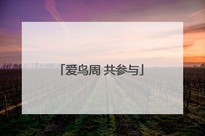 爱鸟周 共参与