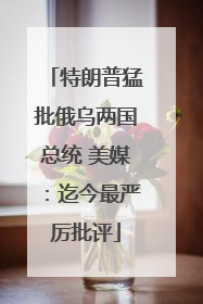 特朗普猛批俄乌两国总统 美媒：迄今最严厉批评