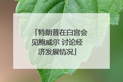 特朗普在白宫会见鲍威尔 讨论经济发展情况