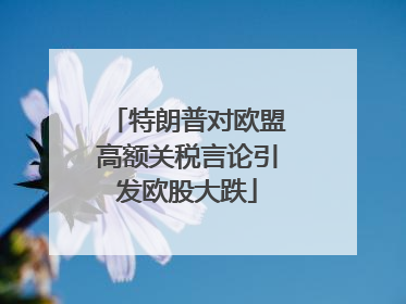 特朗普对欧盟高额关税言论引发欧股大跌