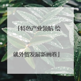 特色产业领航 绘就外贸发展新画卷