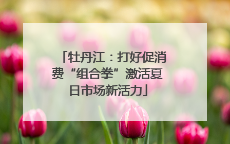 牡丹江：打好促消费“组合拳”激活夏日市场新活力