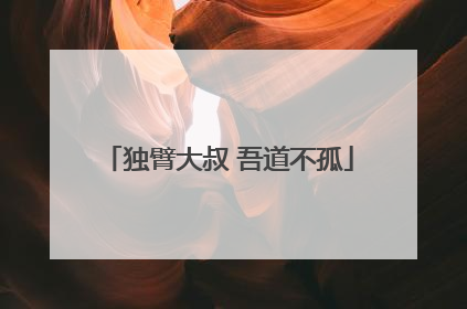 独臂大叔 吾道不孤