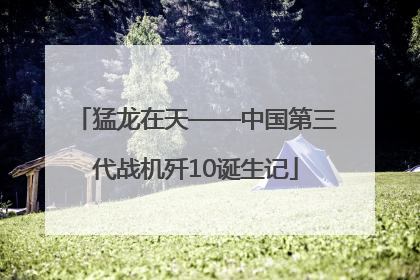 猛龙在天——中国第三代战机歼10诞生记