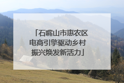 石嘴山市惠农区电商引擎驱动乡村振兴焕发新活力