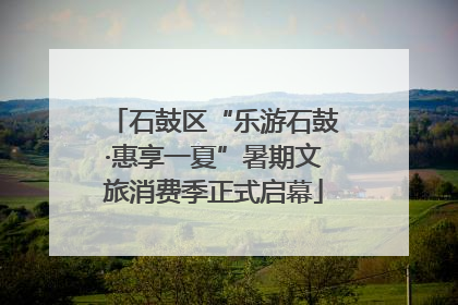 石鼓区“乐游石鼓·惠享一夏”暑期文旅消费季正式启幕