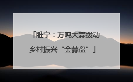 睢宁：万吨大蒜拨动乡村振兴“金蒜盘”