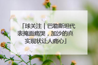 球关注｜巴勒斯坦代表掩面痛哭，加沙的真实现状让人痛心