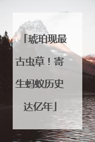 琥珀现最古虫草！寄生蚂蚁历史达亿年