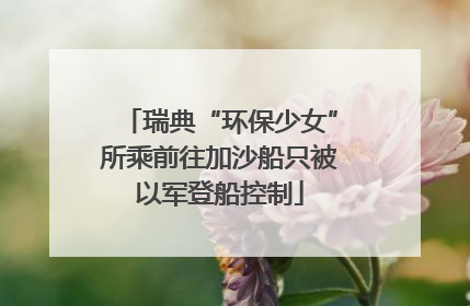 瑞典“环保少女”所乘前往加沙船只被以军登船控制