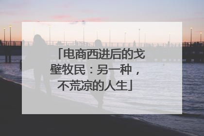 电商西进后的戈壁牧民：另一种，不荒凉的人生
