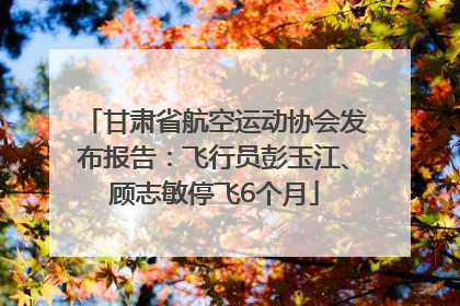 甘肃省航空运动协会发布报告：飞行员彭玉江、顾志敏停飞6个月