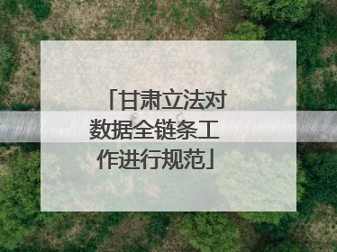 甘肃立法对数据全链条工作进行规范