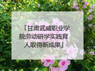 甘肃武威职业学院劳动研学实践育人取得新成果