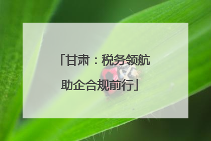 甘肃：税务领航 助企合规前行