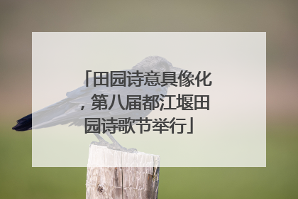 田园诗意具像化，第八届都江堰田园诗歌节举行