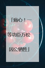 痛心！一等功臣万松因公牺牲