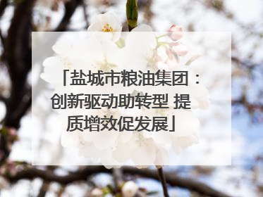 盐城市粮油集团：创新驱动助转型 提质增效促发展