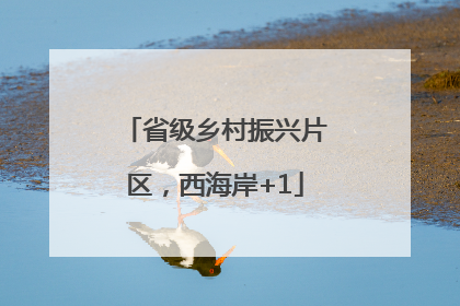 省级乡村振兴片区，西海岸+1