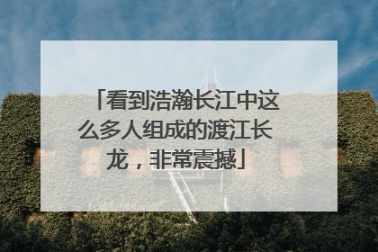看到浩瀚长江中这么多人组成的渡江长龙，非常震撼