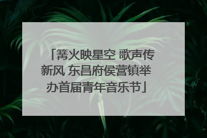 篝火映星空 歌声传新风 东昌府侯营镇举办首届青年音乐节