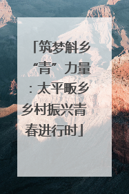 筑梦斛乡“青”力量：太平畈乡乡村振兴青春进行时
