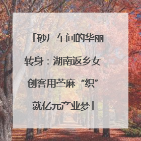 砂厂车间的华丽转身：湖南返乡女创客用苎麻“织”就亿元产业梦