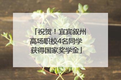 祝贺！宜宾叙州高场职校4名同学获得国家奖学金