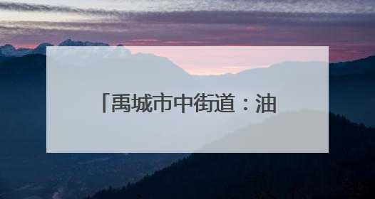 禹城市中街道：油葵花海绚烂绽放 绘就乡村振兴新画卷