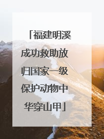 福建明溪成功救助放归国家一级保护动物中华穿山甲