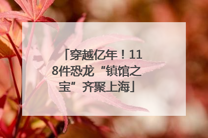 穿越亿年！118件恐龙“镇馆之宝”齐聚上海