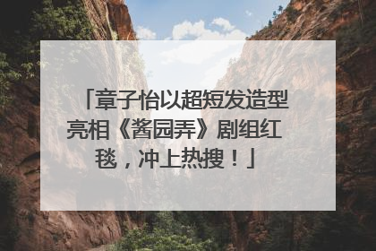 章子怡以超短发造型亮相《酱园弄》剧组红毯，冲上热搜！