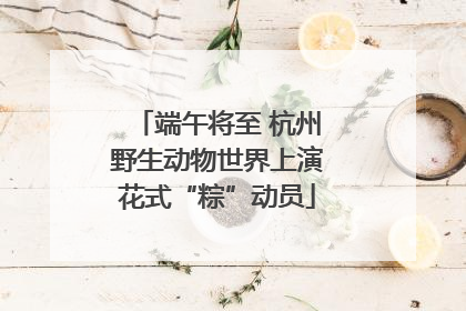 端午将至 杭州野生动物世界上演花式“粽”动员