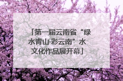 第一届云南省“绿水青山·彩云南”水文化作品展开幕
