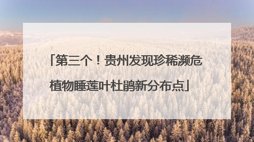 第三个！贵州发现珍稀濒危植物睡莲叶杜鹃新分布点