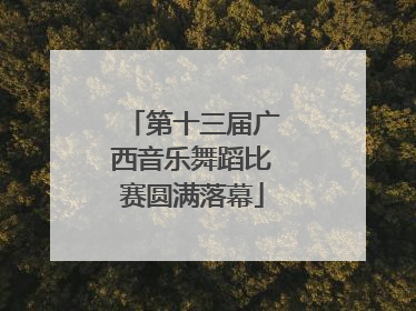 第十三届广西音乐舞蹈比赛圆满落幕