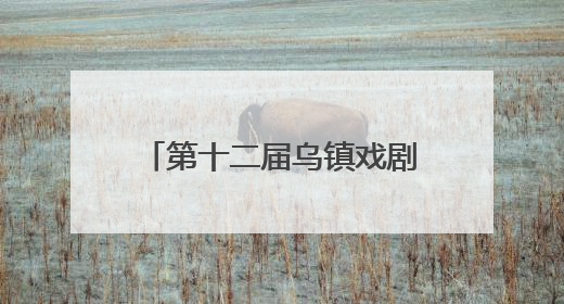 第十二届乌镇戏剧节青年竞演、古镇嘉年华报名启动！